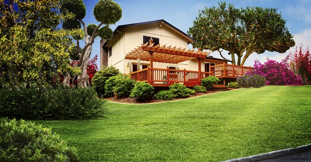Curb Appeal Xtreme