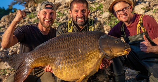 Monster Carp