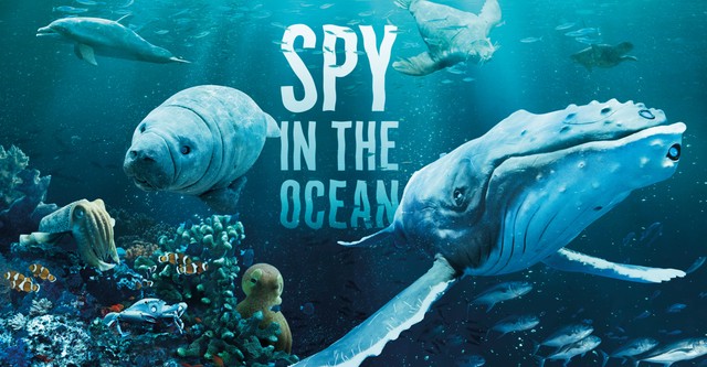 Spy in the Ocean