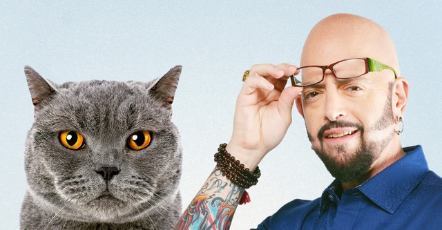 Hell's cat : Mon chat est un cauchemar