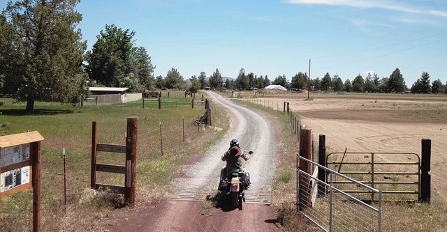Cover Me: The Path to Purpose