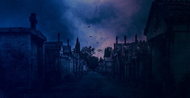 Nest of Vampires
