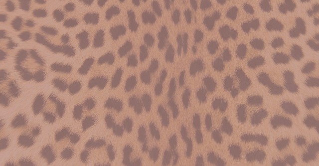 Bettie Page: The Girl in the Leopard Print Bikini