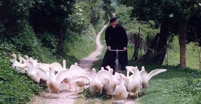 Father Matteo