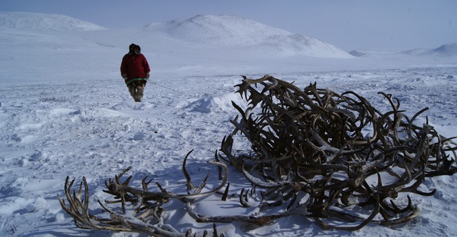 The Tundra Book. A Tale of Vukvukai, The Little Rock