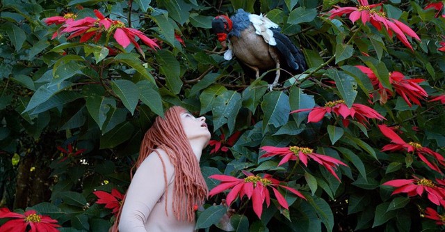 The Diaries of Adam and Eve