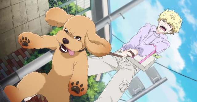 Dog Signal Season 1 - watch full episodes streaming online