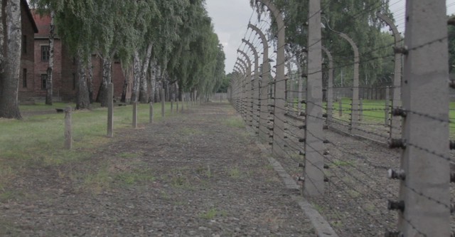 Horrors of the Holocaust