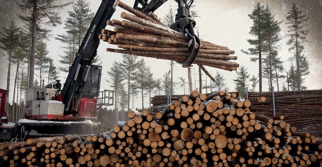 American Loggers