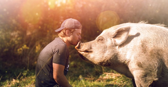 Saved By The Barn