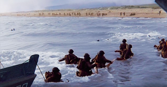 Liberation: D-Day to Berlin