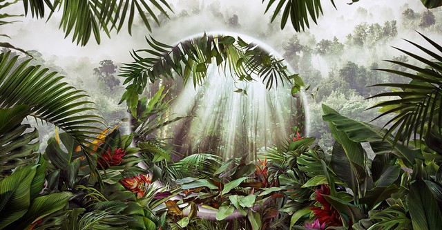 The Green Planet