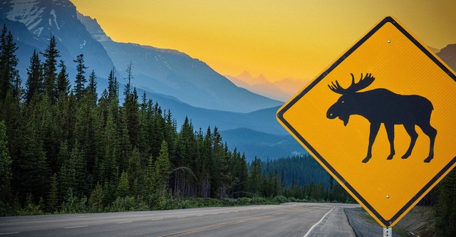 Griff’s Canadian Adventure