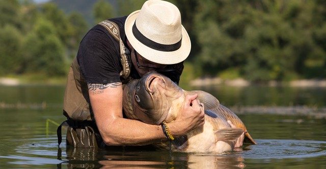 Monster Carp