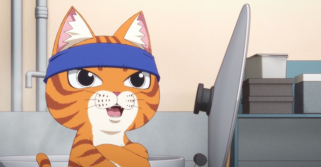 拉面赤猫
