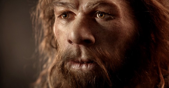 Meeting Neanderthal