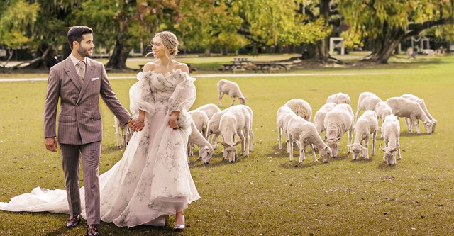 Dream Weddings