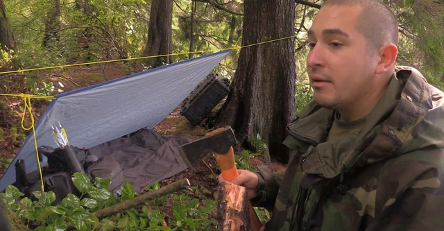Alone : les survivants
