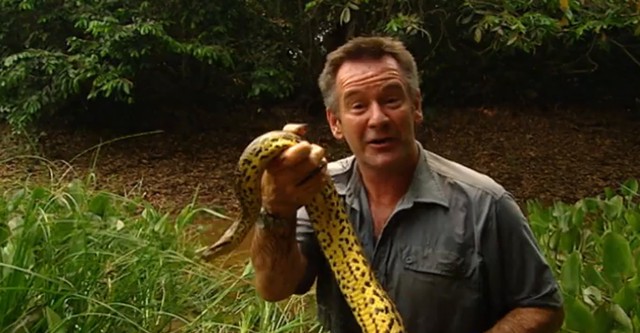 Jaguar Adventure With Nigel Marven