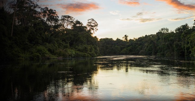 Rivers of Life