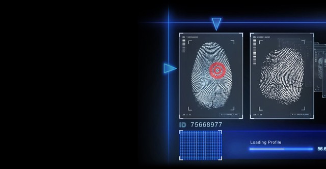 Crime 360
