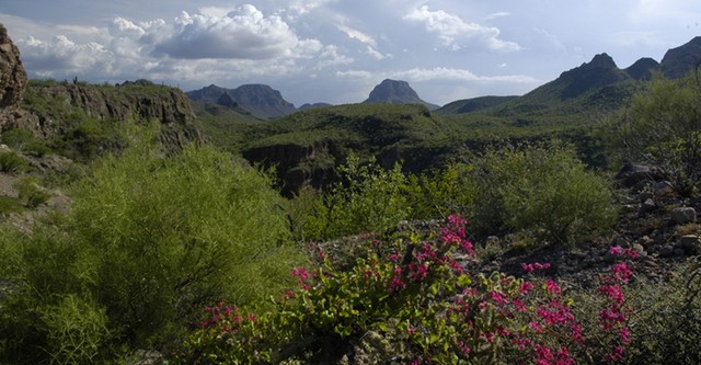 Baja California - Das andere Kalifornien