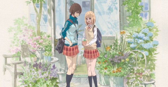 Morning Glory and Kase-san