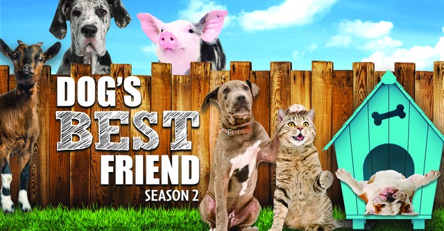 On Netflix Dog Days Hulu Dog's Best Friend Season Watch Episodes