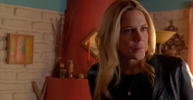 U.S. Marshals, Protection de témoins