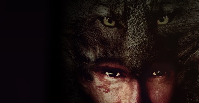 Coyote