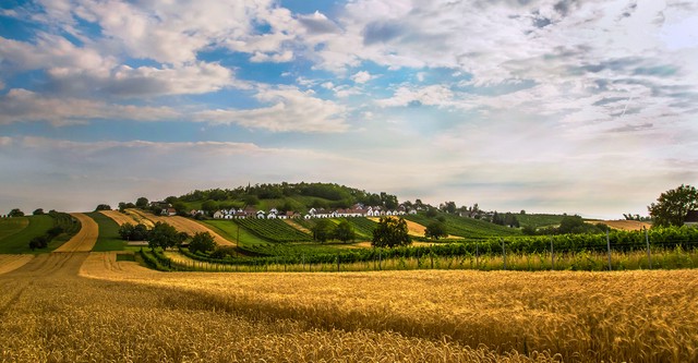 Kellergassen in Niederösterreich - Weinkultur und Lebensfreude