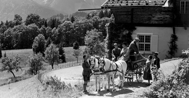 Das Schweigen im Walde