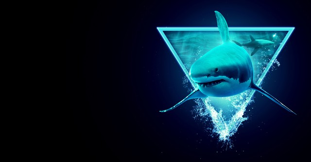 Monsters of the Bermuda Triangle