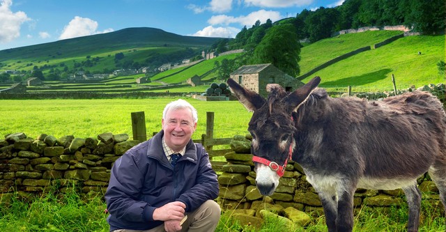The Yorkshire Vet