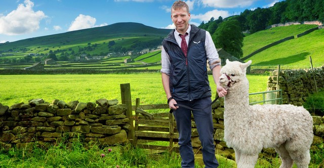 The Yorkshire Vet