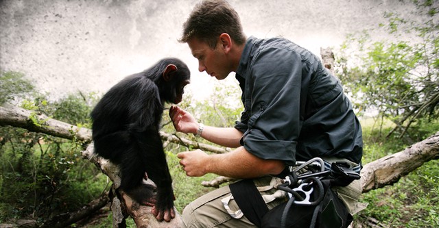 Escape to Chimp Eden
