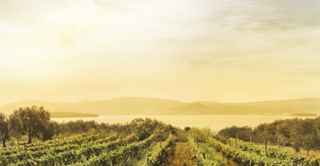 Terroir to Table