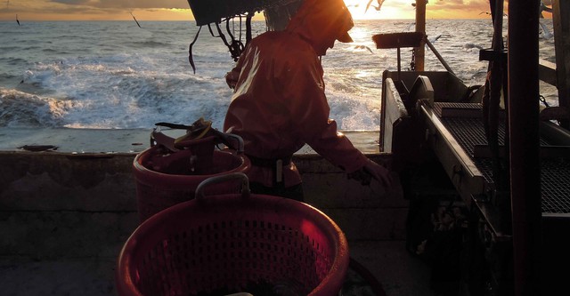 Salt of the Sea