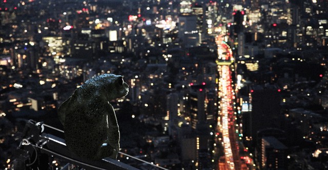 Dreaming Murakami