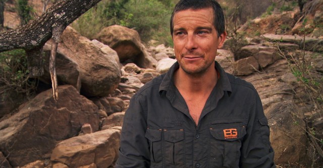 Bear Grylls: Sztárok a vadonban