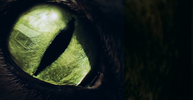 Monster Movie