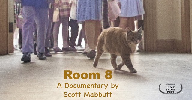 Room 8