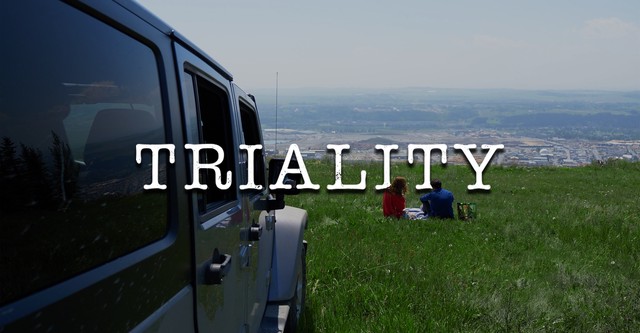 Triality