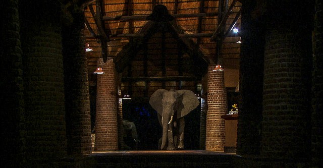 Elephants in the Room