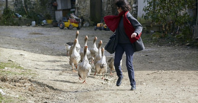 Un metge rural