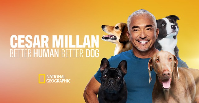 Cesar Millan: Jó gazdi, jó kutya