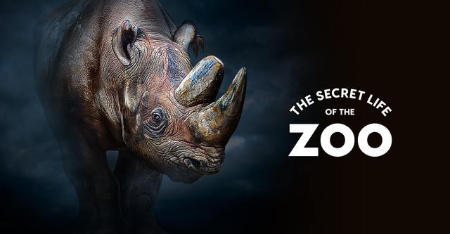 The Secret Life of the Zoo