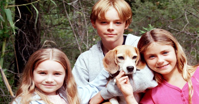 Shiloh II, el regreso