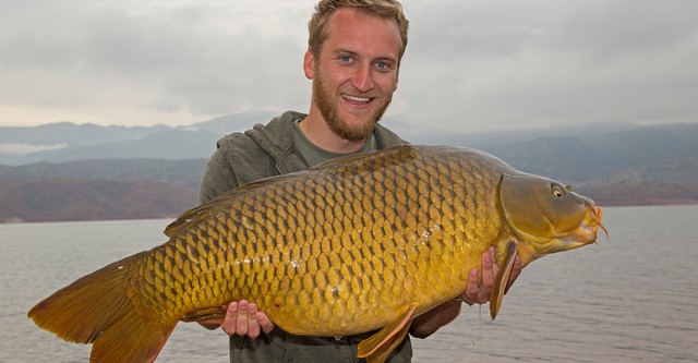 Monster Carp
