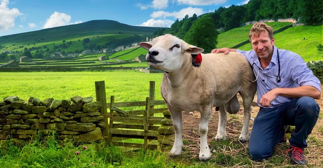 The Yorkshire Vet